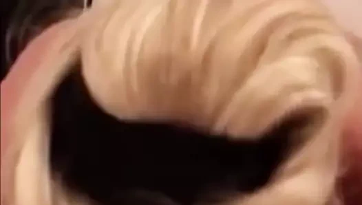 Büyük memeli orta yaşlı seksi kadın yarak emiyor ve döl yutuyor!!