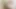 Seksi tatlı kız öğretmene testi geçmek için sakso çekiyor