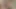 Halley Hill şehvetli bir kolej oral seksi için büyük sert bir yarağı kırbaçlıyor