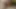 18 yaşındaki çift ilk amatör porno video yapar