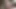 Seksi sarışın pawg vanna rose büyük zenci yarağıyla sikişiyor
