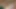 21 Yaşındaki Öğrenci Anastasia Ile Sapkın Oral Seks Oyunları
