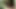 Junge Brünette masturbiert mit lila Dildo im Freien