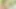 Sexpot nicole aniston arka bahçesinde creampied alır