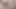 Büyük yapay penis için İtalyan kedi