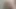 Dildo oral seks sikişleri derlemesi