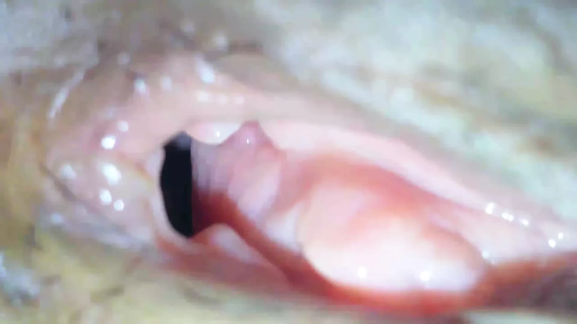 penampakan memek aku sesudah di cukur