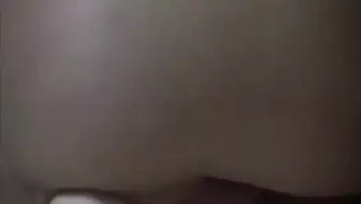 Gatinha sentando com consolo no rabo