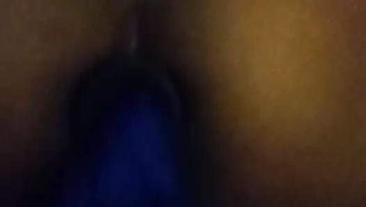 Sinisterlynn. ve mavi at kuyruğu