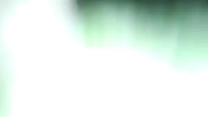 Qartuli eşcinsel tynauri