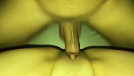 Quickie ile bir sıkı kedi