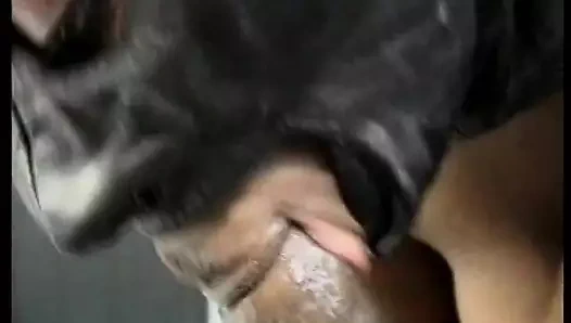 Deri siyah maskeli büyük memeli zenci bebek iyi bir sürtük gibi arkadan sert sikiliyor