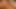 2 büyük şişman bbw lezbiyenler aşk öpüşme, emme onların pussies-1