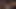 Anal