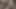 Azgın yaşlı sürtük amını yarakla doldururken yarak emiyor - yaşlı porno
