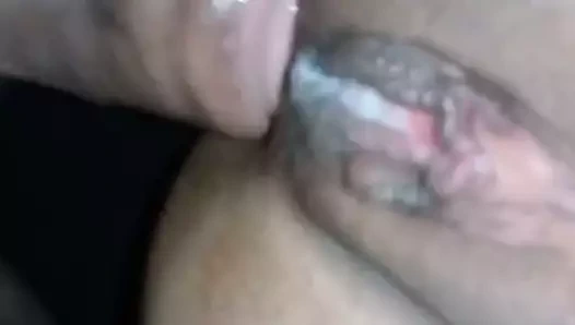 lanet anal tatlı KEDİ