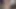 Blakemason leo rex bunny ve austin greenwood delight ham kanepe misyoner