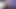 Iggy.