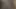 Ateşli sürtük bu dünyada her şeyden çok yarak emmeyi seviyor