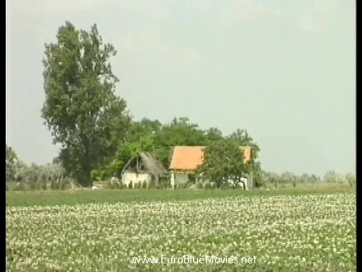 Teenievision 9: genç gün batımı