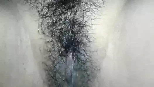 Bengalce boudi kıllı kedi