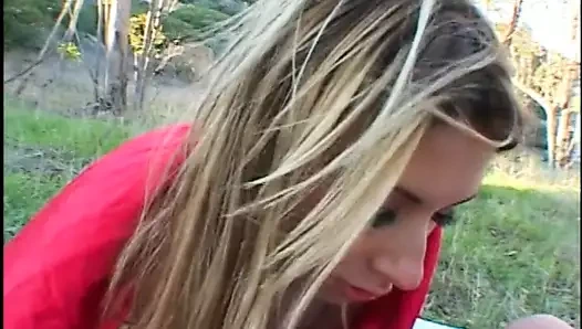 Güzel bebek onu sıkı popo içinde büyük bir horoz alıyor, diğer ise onu kedi yalıyor