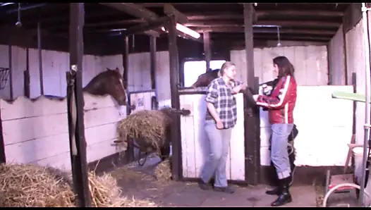 Büyük götlü sarışın Alman orta yaşlı seksi ev hanımı anal sikiliyor