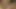 Hintli karı koca seks videosu desi köyü güzel evli kadın