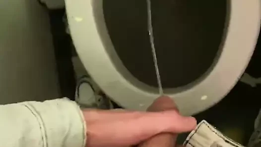 31 çek ve uçağın tuvaletine işemek