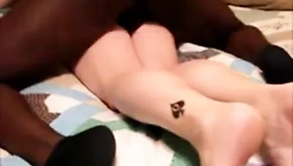 eşinin kedi Python dick - ırklararası