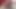 Ateşli kızıl saçlı dildo emiyor ve götüne sokuyor