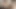 21 sextury - azgın lezbiyenler sata jones ve zoe doll ofiste heyecanlı ve sikişiyor