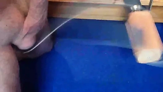 Hoden und Schwanzbearbeitung