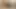 grandpa cum3