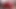 yeni yıl facesitting ve ayak öğürme