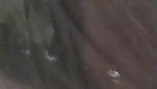 Güzel döl
