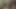 İki güzel genç lezbiyen seks oyuncağıyla sikişiyor