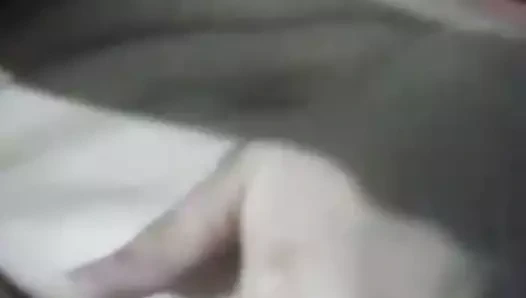 Hint rc göğüsler ve kedi