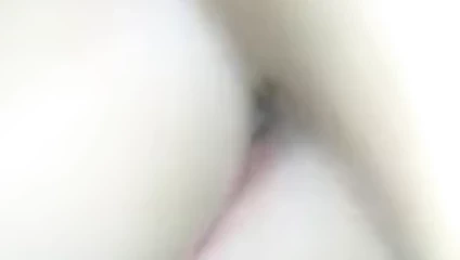 lanet seksi kedi lezzetli