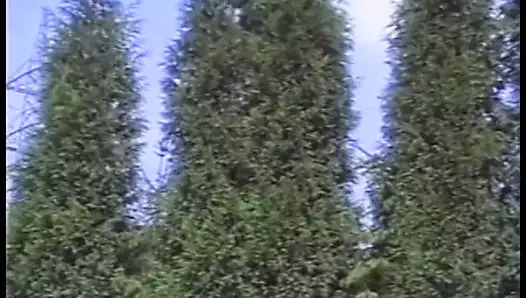 Seksi fahişe sikilirken yüzüne amına basıyor