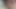 Bu güzel kıllı kedi yumruk çalışıyorum