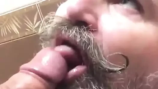 baba ayı oral seks