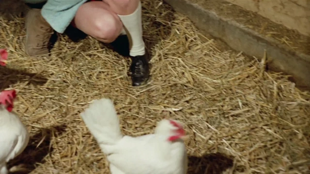 Blutjunge verfuhrerinnen 2 - 4k restorasyon (dublajlı)