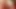 Perra puta nalgona culona mamadora Dana Hayes traga verga y