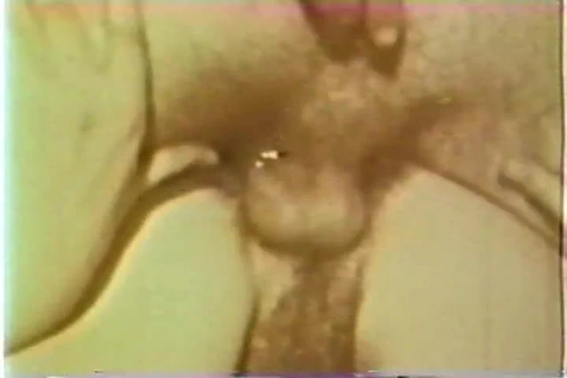 Cc 1960'ların hippi seks