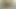 masöz parmak onu KEDİ 69 oral ve fucks onu bacaklar