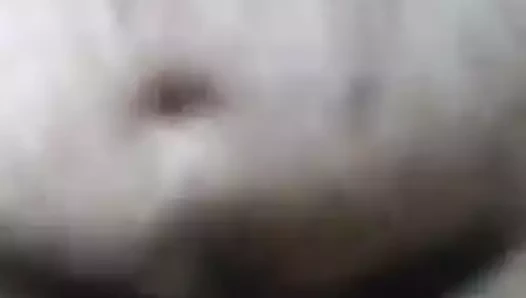 arkadaşımı sikeyim