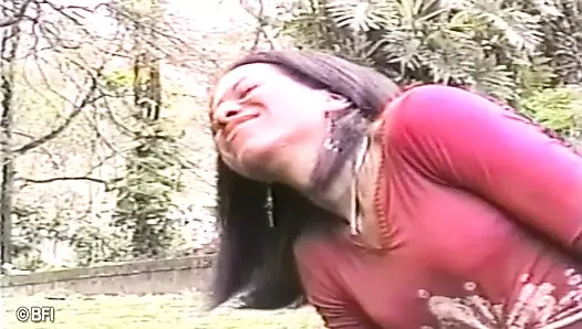 Brasil trans passion 2