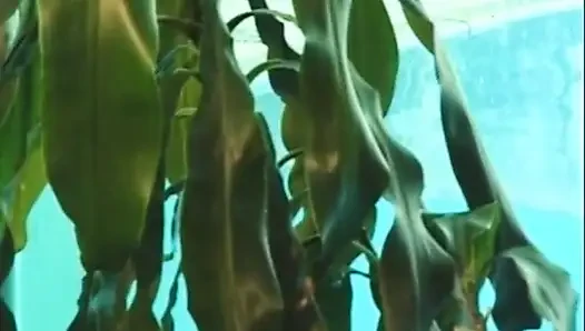 Büyük memeli bebek götte yarağı seviyor