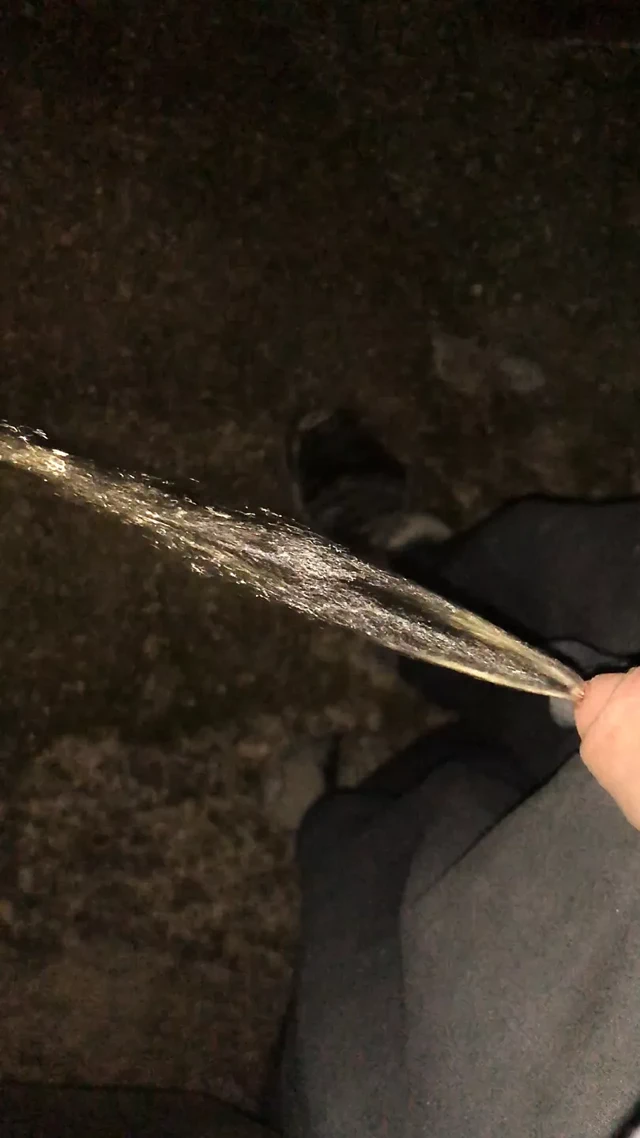 ben bir kamu yolda işemek